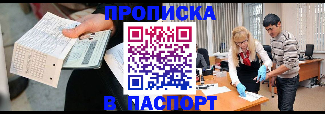 прописка для школы в Тольятти